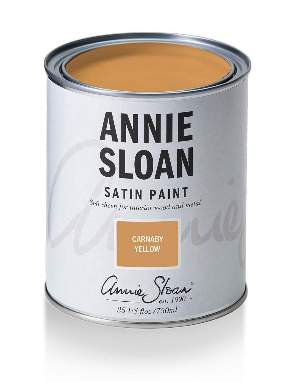 Satin Paint